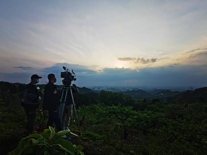 聚焦振安区产品宣传视频拍摄公司，用专业实力铸就品牌传播传奇